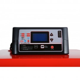 Werstahl Hercules HSD180- Caldaia policombustibile a doppia coclea (pellet,biomassa,anima,legna,carbone) (180.000kcal - 209kw) 